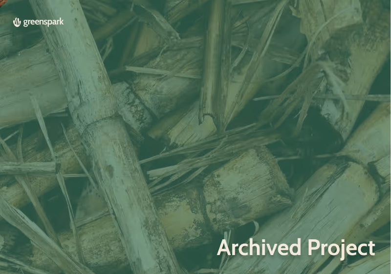 Sukkerrørsbaseret biomasseenergi i Indien