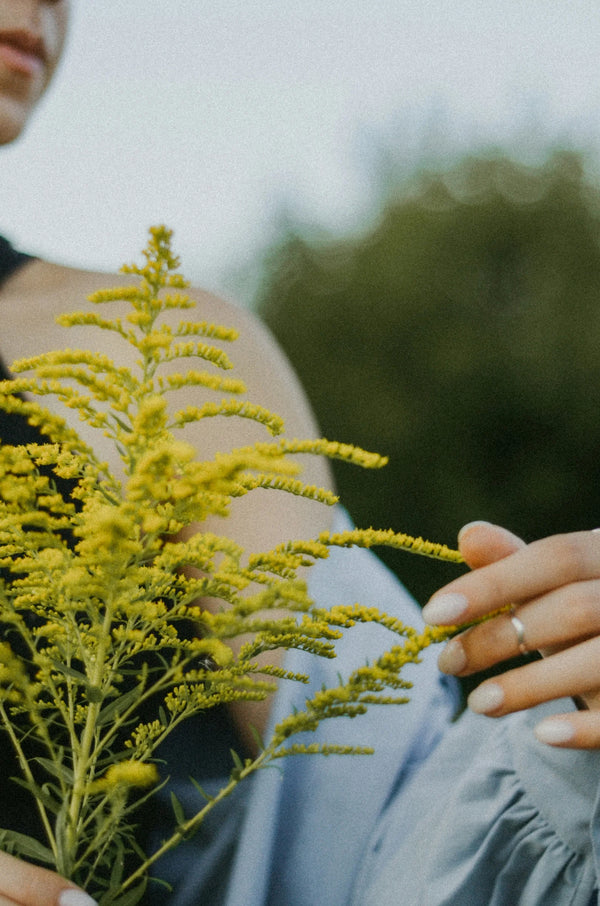 Hands holding yellow goldenrod flowers, photo by Kate Bezzubets