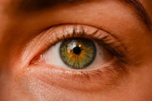 Close-up of human eyes