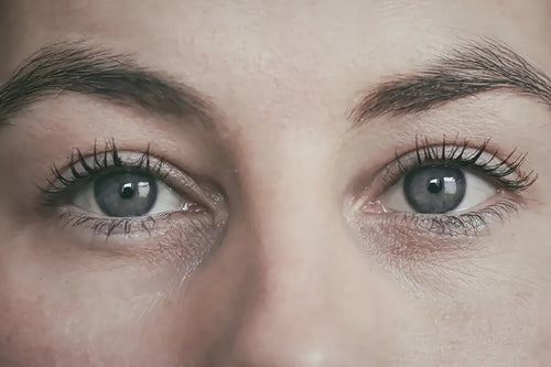 Close-up of human eyes