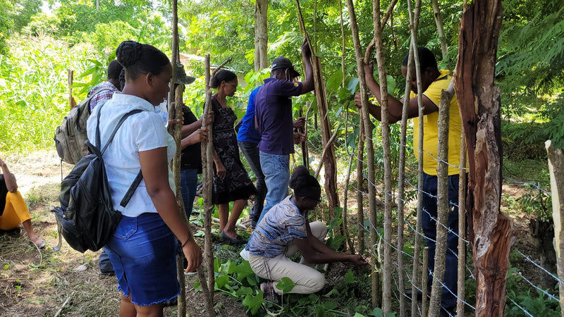 Styrkelse af samfund gennem bestøver-agroskovbrug