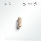 Collagen+