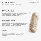 Collagen+