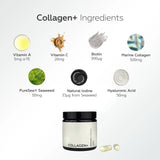 Collagen+