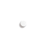 Biotin, a single pill on a transparent background