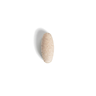 Essential Multivitamin, a single pill on a transparent background