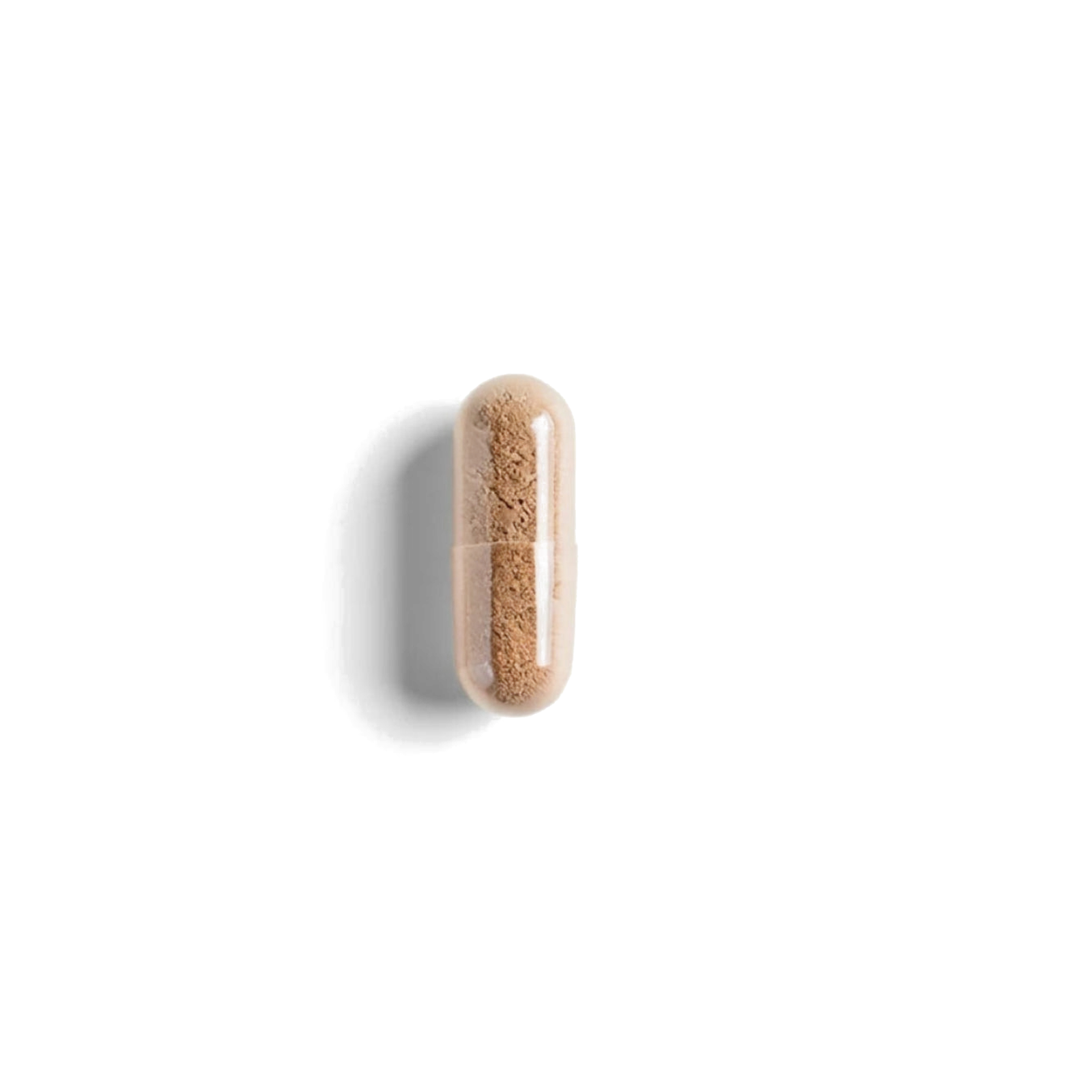 Saw Palmetto, a single pill on a transparent background