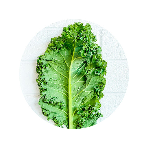 Kale