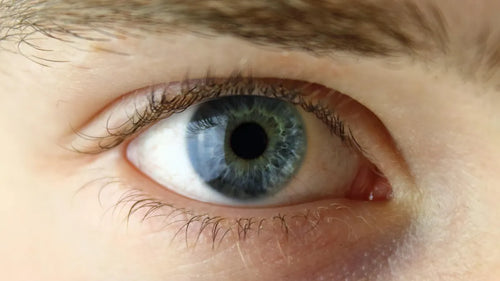 Close-up of human eyes