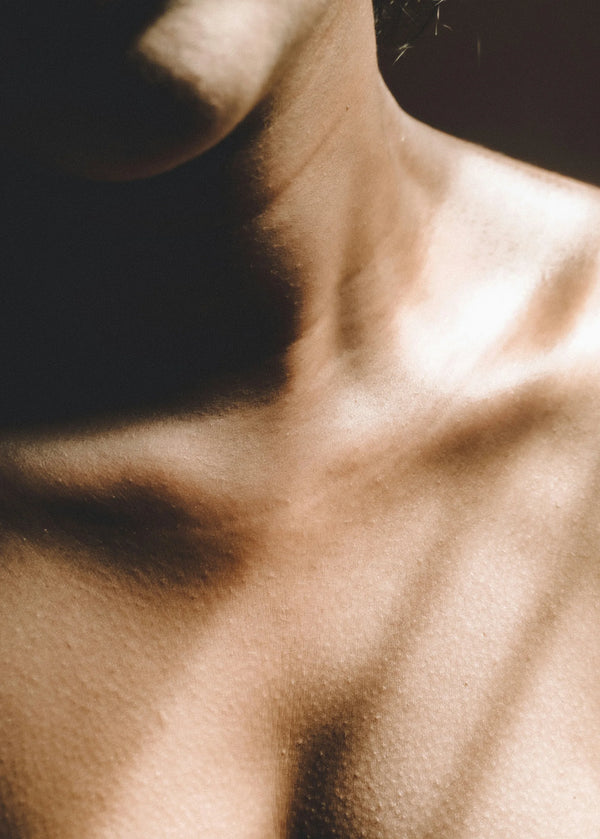 Close-up of a collarbone and neck in warm light and shadow, photo by Photoloord Anu