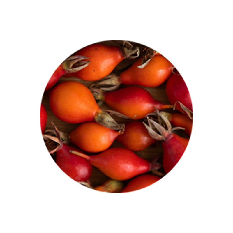 Rosehip Fruit Extract