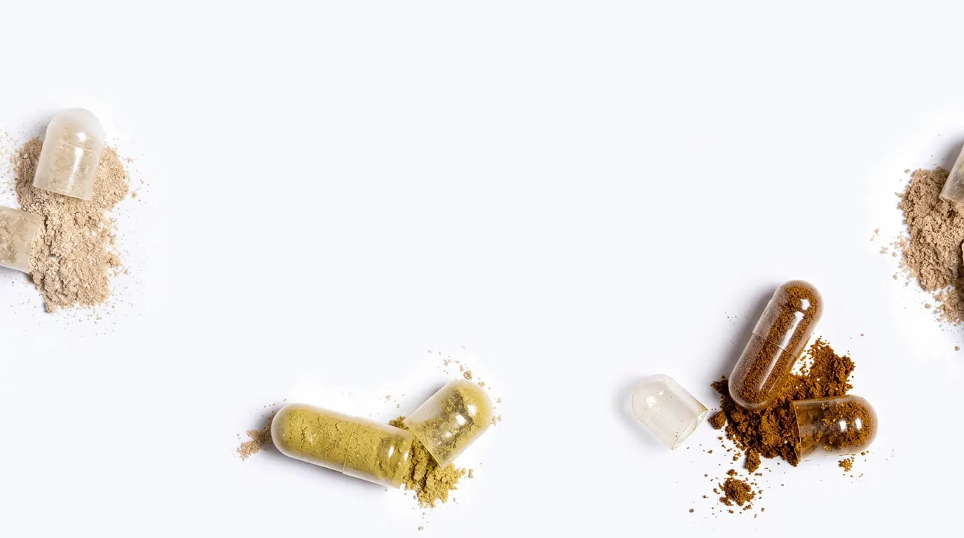 Our Ingredients